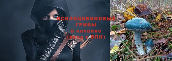мескалин Белокуриха